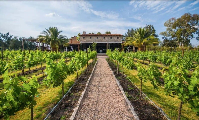 Private Wine Tour from Guanajuato City - A Detailed Look at the Itinerary