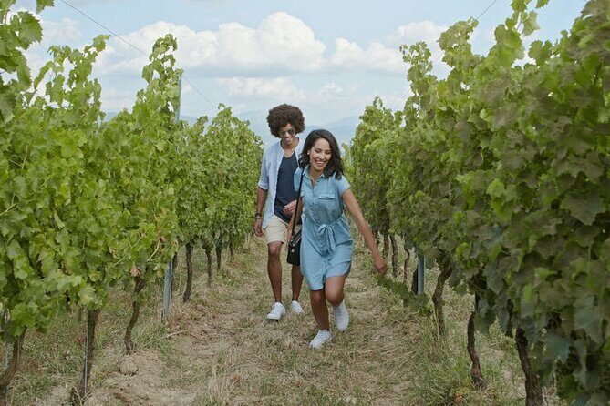 Private Wine Tour in Niagara-on-the-Lake w/ cheese & charcuterie - Who Should Consider This Tour?