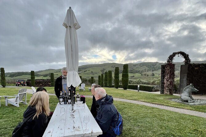 Private Wine Tour of Napa and Sonoma - Final Thoughts: Who Is This Tour Best For?