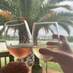 Private Wine Tour of San Miguel de Allende Tastings and Lunch - Detailed Breakdown of the Experience