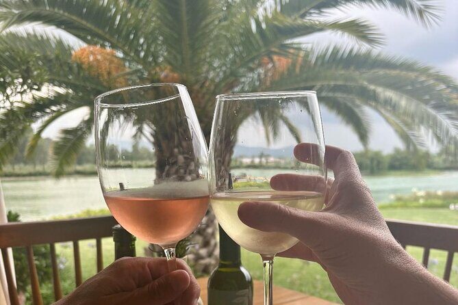 Private Wine Tour of San Miguel de Allende Tastings and Lunch - Detailed Breakdown of the Experience