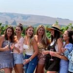 Private Wine Tour to Napa & Sonoma from San Francisco - Practical Details: Transportation, Timing, and Value