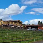 Private Wine Tours - Final Thoughts