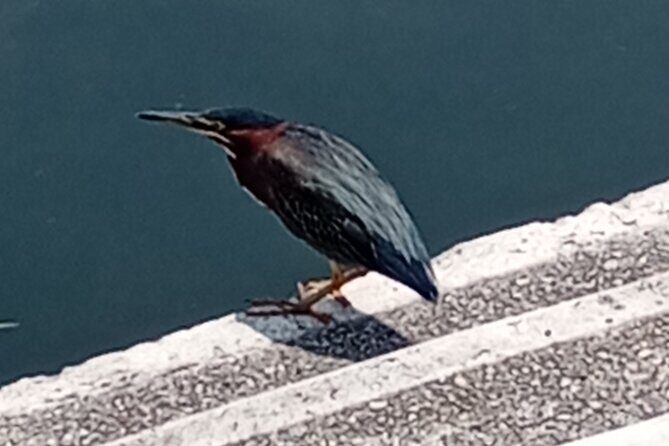 Private Xochimilco Boat Ride, Food & Mariachi from Mexico City - Practical Details: What’s Included and What to Keep in Mind