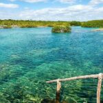 Private Yal-ku and Akumal Experience - Transportation and Comfort