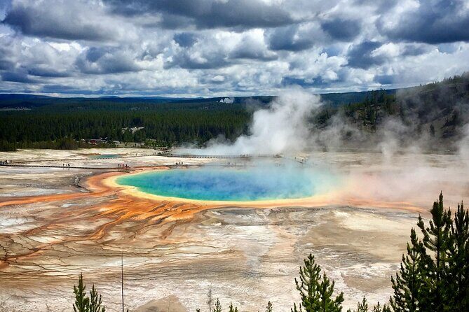 Private Yellowstone Highlights Tour - Why This Tour Offers Great Value