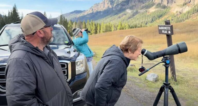 Private Yellowstone Winter Safari and Wolf Watching Tour - Why This Tour Offers Great Value