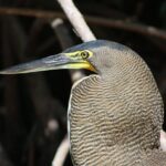 Private Yucatan Discovery Tour - Who’s This Tour For?