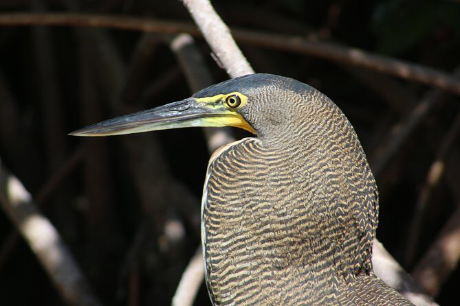 Private Yucatan Discovery Tour - Who’s This Tour For?