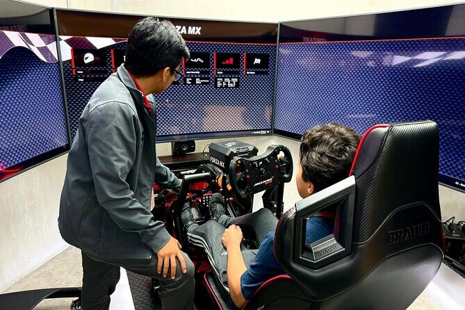 Professional racing simulator - Who Will Love This Activity?