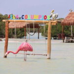 Progreso: Isla Columpios and Pig Beach Club Day Pass - What This Tour Means for You