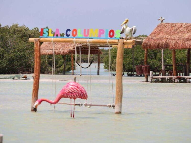 Progreso: Isla Columpios and Pig Beach Club Day Pass - What This Tour Means for You