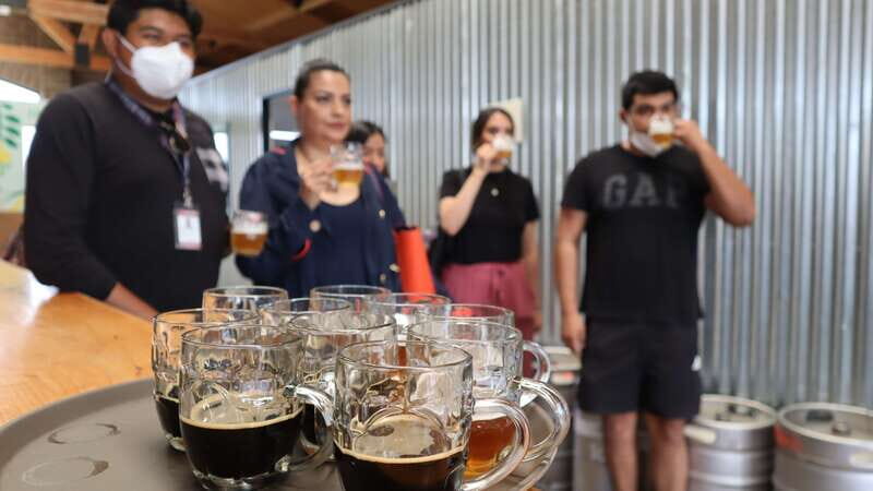 Puebla: Cholula Craft Beer Tour by Tram - How the Tour Unfolds