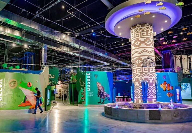 Puebla: Hop-on Hop-off City Tour and Aquarium Michín - Challenges and Considerations Based on Traveler Feedback