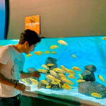 Puebla: Ticket to Aquarium Michin - Who Will Love It?