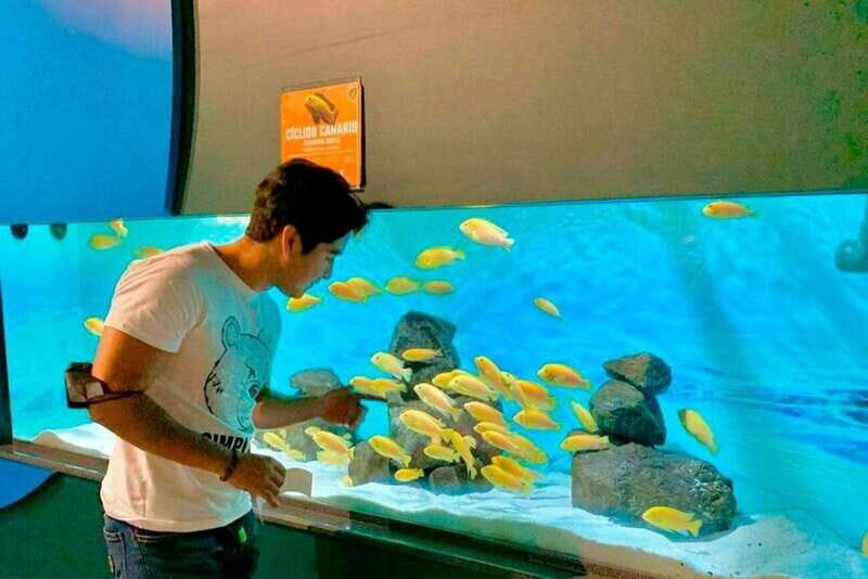 Puebla: Ticket to Aquarium Michin - Who Will Love It?