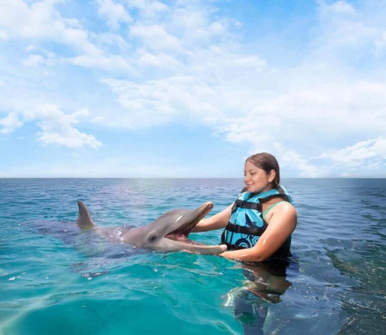 Puerto Aventuras: Dolphin Connection & Manatee Interaction - The Details: What to Expect at Each Step