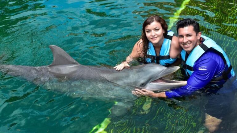 Puerto Aventuras: Dolphin & Manatee Encounter with lunch - Who Will Love This Tour?