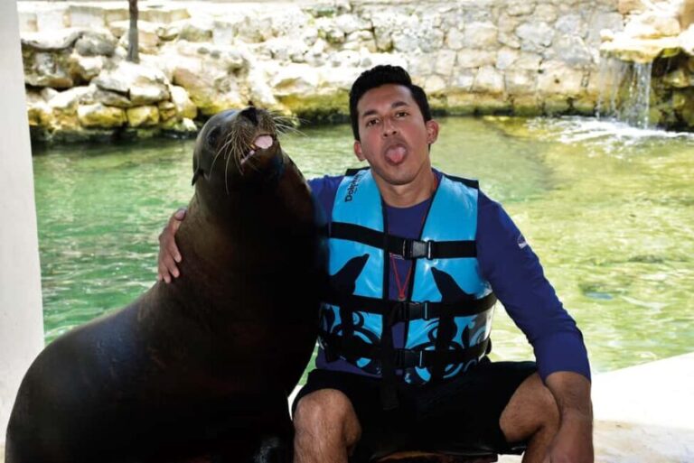 Puerto Aventuras: Dolphins, Manatee & Sea Lion interaction - Key Points
