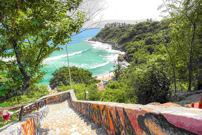 Puerto Escondido at 1 Carrizalillo, Zicatela and Release Turtles - Who Is This Tour Best For?