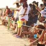 Puerto Escondido: Baby Turtle Release Tour - Educational Insights and Conservation Impact