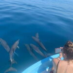 Puerto Escondido: Boat Tour to see Dolphins and Marine Life - What to Expect on the Water