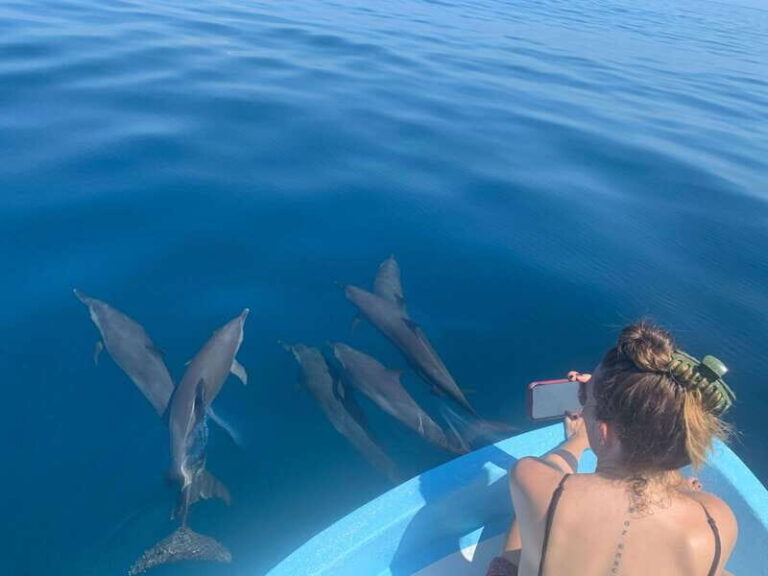 Puerto Escondido: Boat Tour to see Dolphins and Marine Life - What to Expect on the Water