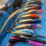 Puerto Escondido: Fishing Boat Trip with Buffet Lunch - Practical Details: What You Need to Know