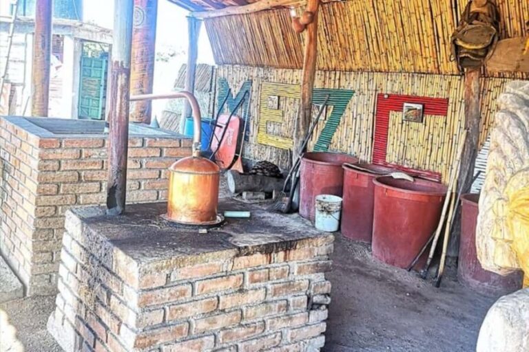 Puerto Escondido: Mezcal, Coffee, and Pedal Loom Factory - What’s Included and What’s Not