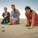 Puerto Escondido: Turtle Release and Bioluminescent Plankton - Weighing the Value: What’s Included and What’s Not