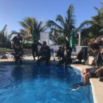 Puerto Morelo: Cenote Diving - The Authentic Charm and Unique Aspects