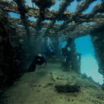 Puerto Morelos: C-56 Shipwreck & Reef for Certified Divers - What You Can Expect from This Tour