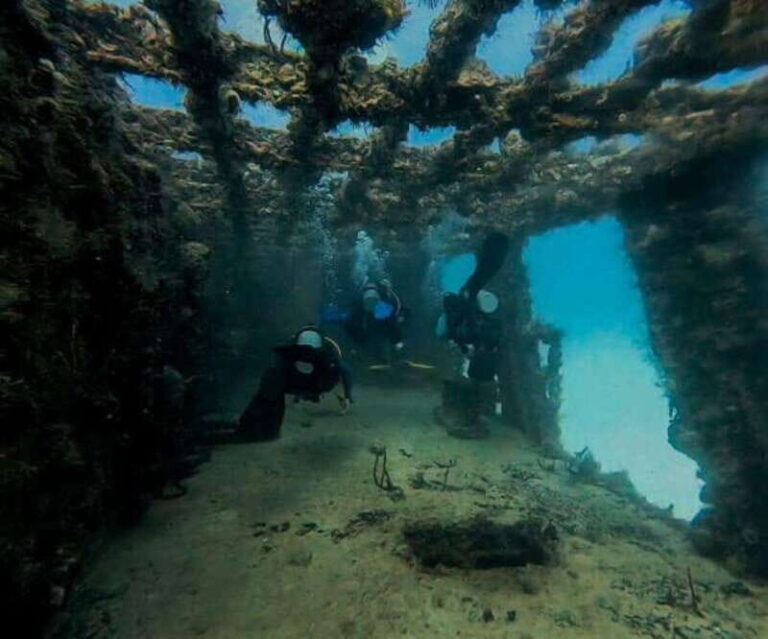 Puerto Morelos: C-56 Shipwreck & Reef for Certified Divers - What You Can Expect from This Tour