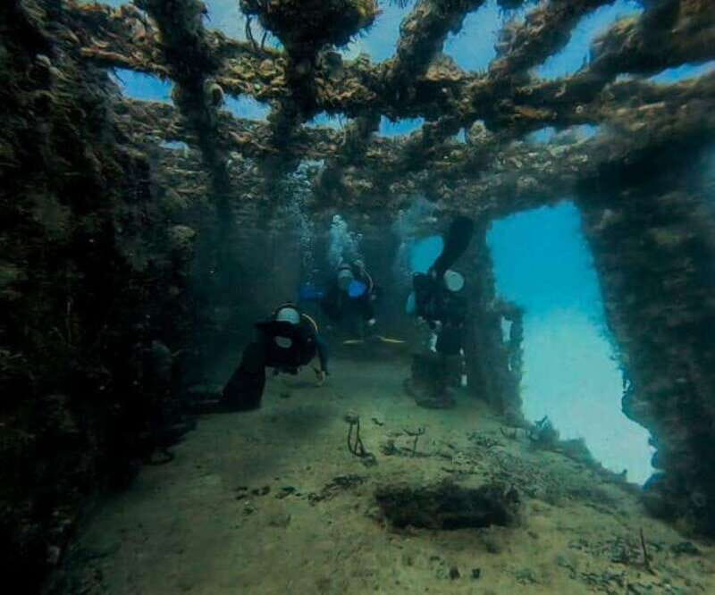 Puerto Morelos: C-56 Shipwreck & Reef for Certified Divers - What You Can Expect from This Tour