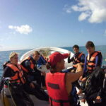 Puerto Morelos: Discover Scuba Diving - Why Choose This Experience? The Value and the Experience