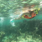 Puerto Morelos: Guided Snorkeling Tour with Gear & Fees - Key Points