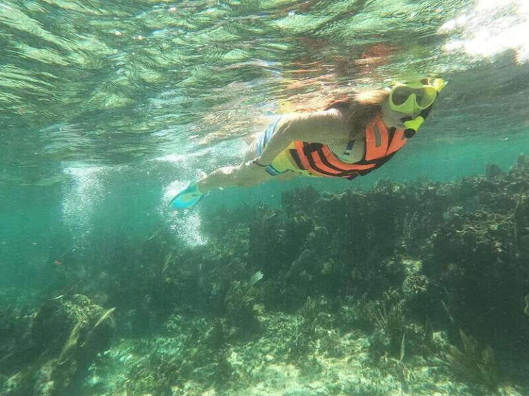 Puerto Morelos: Guided Snorkeling Tour with Gear & Fees - Key Points