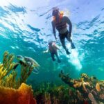 Puerto Morelos: Private Snorkeling Tour with Hotel Pickup - Who Is This Tour Best Suited For?