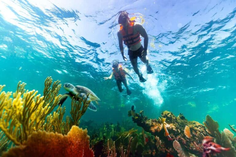 Puerto Morelos: Private Snorkeling Tour with Hotel Pickup - Who Is This Tour Best Suited For?