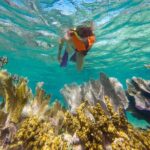 Puerto Morelos Reef Snorkeling & Beachside Lunch - Why This Tour Works