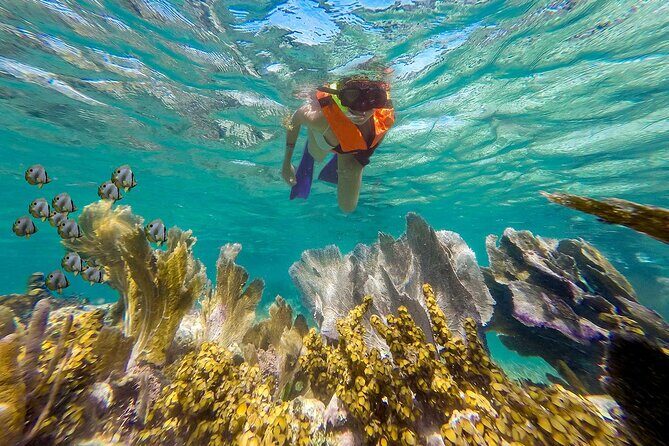 Puerto Morelos Reef Snorkeling & Beachside Lunch - Why This Tour Works