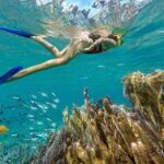 Puerto Morelos Reef Snorkeling Tour with Lunch & Hotel Pickup - The Snorkeling Experience