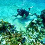 Puerto Morelos: Scuba Experience with Gear & Instructor - Key Points