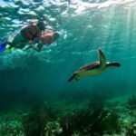 Puerto Morelos: Snorkeling Guided Activity - Authentic Experiences and Traveler Insights