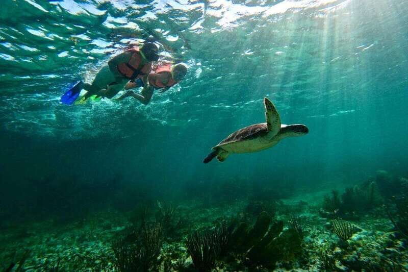 Puerto Morelos: Snorkeling Guided Activity - Authentic Experiences and Traveler Insights