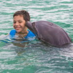 Puerto Morelos: Swim with Dolphins - Practical Details: Price, Duration, and Group Size