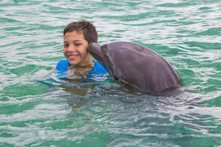Puerto Morelos: Swim with Dolphins - Practical Details: Price, Duration, and Group Size