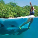 Puerto Morelos: Swim with dolphins Primax - Is This Tour Worth It?