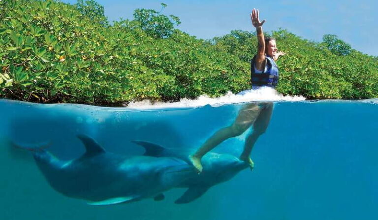 Puerto Morelos: Swim with dolphins Primax - Is This Tour Worth It?