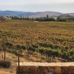 Puerto Nuevo & Valle de Guadalupe Tour with Lunch and Wine - Exploring Valle de Guadalupe: Mexico’s Winemaking Heart